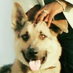 GHBADBAD 😎 Black legacy