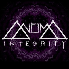 Anoma Integrity