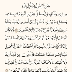 user964538198