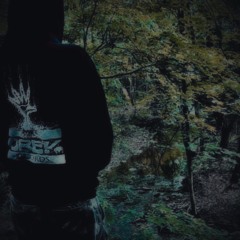 ✟ Stilpain ✟