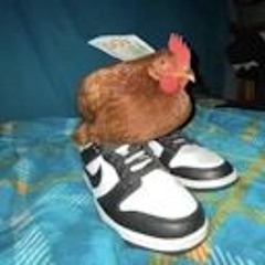 BurpinJoe