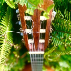 Chill - DJ Ara Remix and Bass - Hani Totorewa (Katchafire/Tigerhour) - Keys