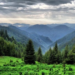САМ СЪМ ДРУГИ НЯМА