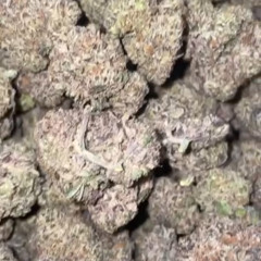 plug