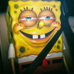 BOB JUNIOR