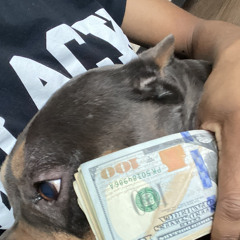 King5Exclusive(LLKUDZ)