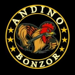 Afsal andino07