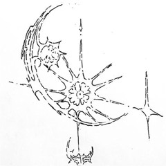 Nokami