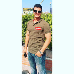 Mohammed Attia Nady