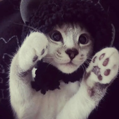 Caitlyn !!