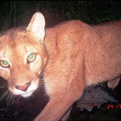 sanroqueparishchurch