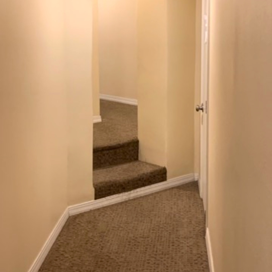 Stream Let Us Exuberate by macerated_onion | Listen online for free on ...