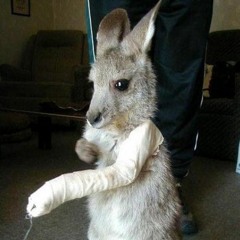 Mark Weston Laskowski