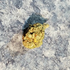 Ratchet Life Mixtapes