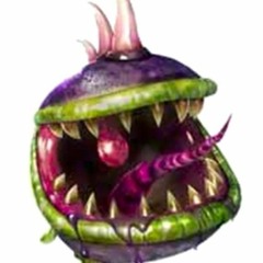 Chomper