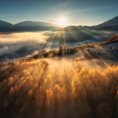 Sensescape