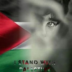 Ahmed Essam Wbass