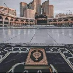 ابراهيم شرفيه