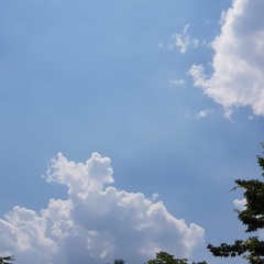 문율MOONYUL