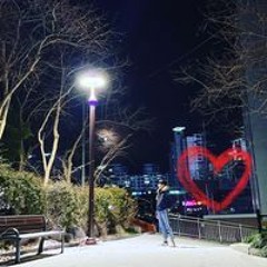 김연재