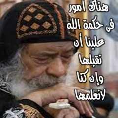 حنان فكرى