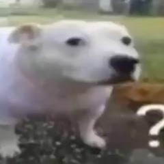 Greency99