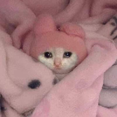 baby phaneee