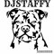 Gareth Djstaffy