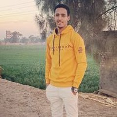 شمس المصرى