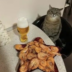 pidor semka