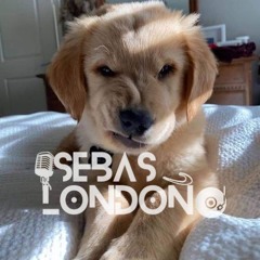 S3B4SLONDOÑODJ