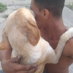 Marcio Jose Pereira Cachoeira