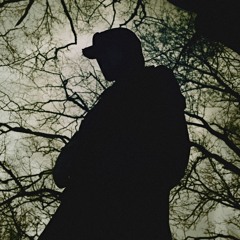 hound paranoid