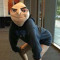 bellyboy
