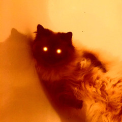 MeowMeowBeatz