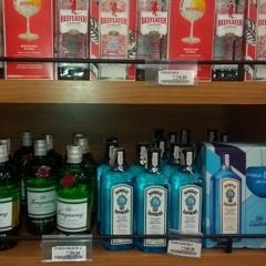 José Hamilton Junior