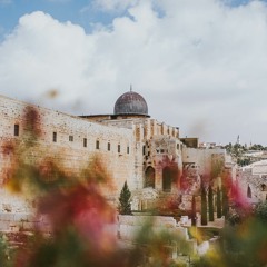 سارة أسامة