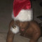 hoodrichhas