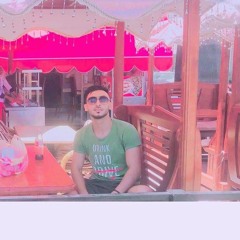 Ahmed El Bحrawy