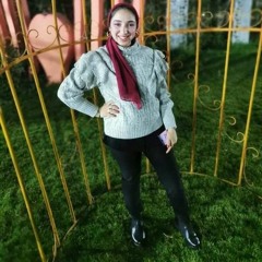Nourhan Elgohary