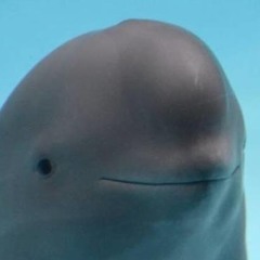 Juanitø