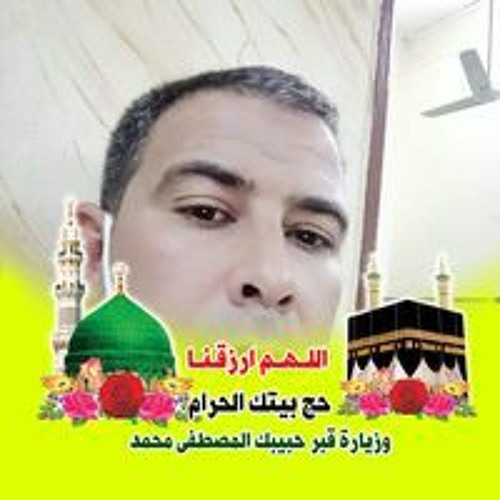 Ali Hassan’s avatar