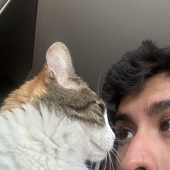 dani