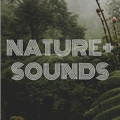 Nature Therapy Music