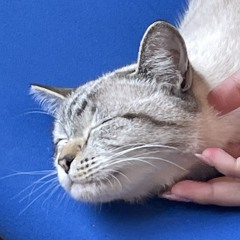munnmuang