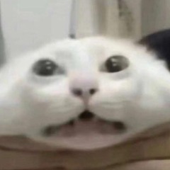 Henkkutsu