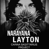 CARINA SAGITTARIUS PROJECT