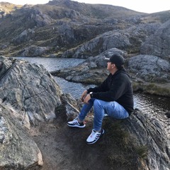 Luis E Joya Martinez