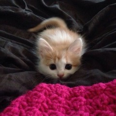 neyarooni™_ ︻デ═一