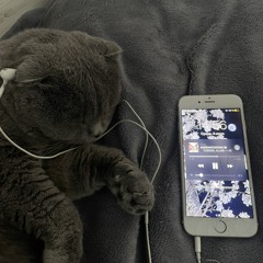 OpiumPlayer